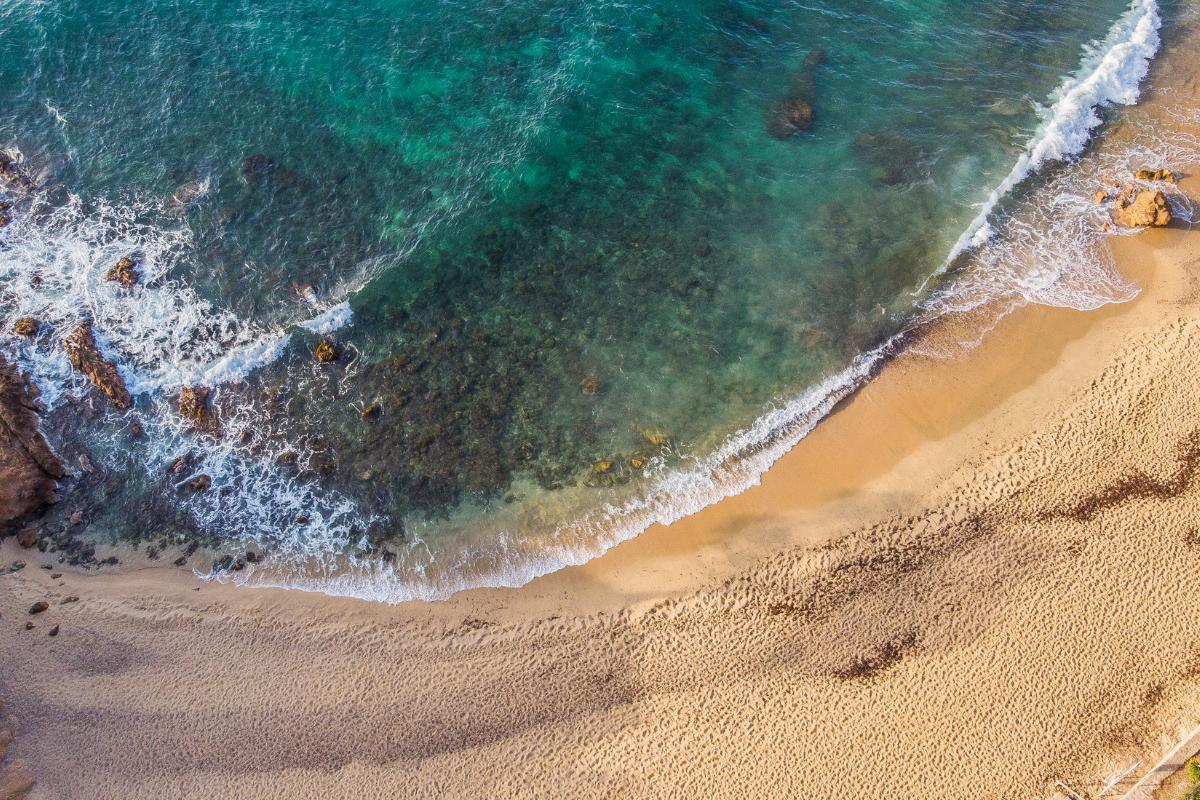 LITTORAL : DÉFINITION, TYPES, ÉCOSYSTÈMES et EXEMPLES