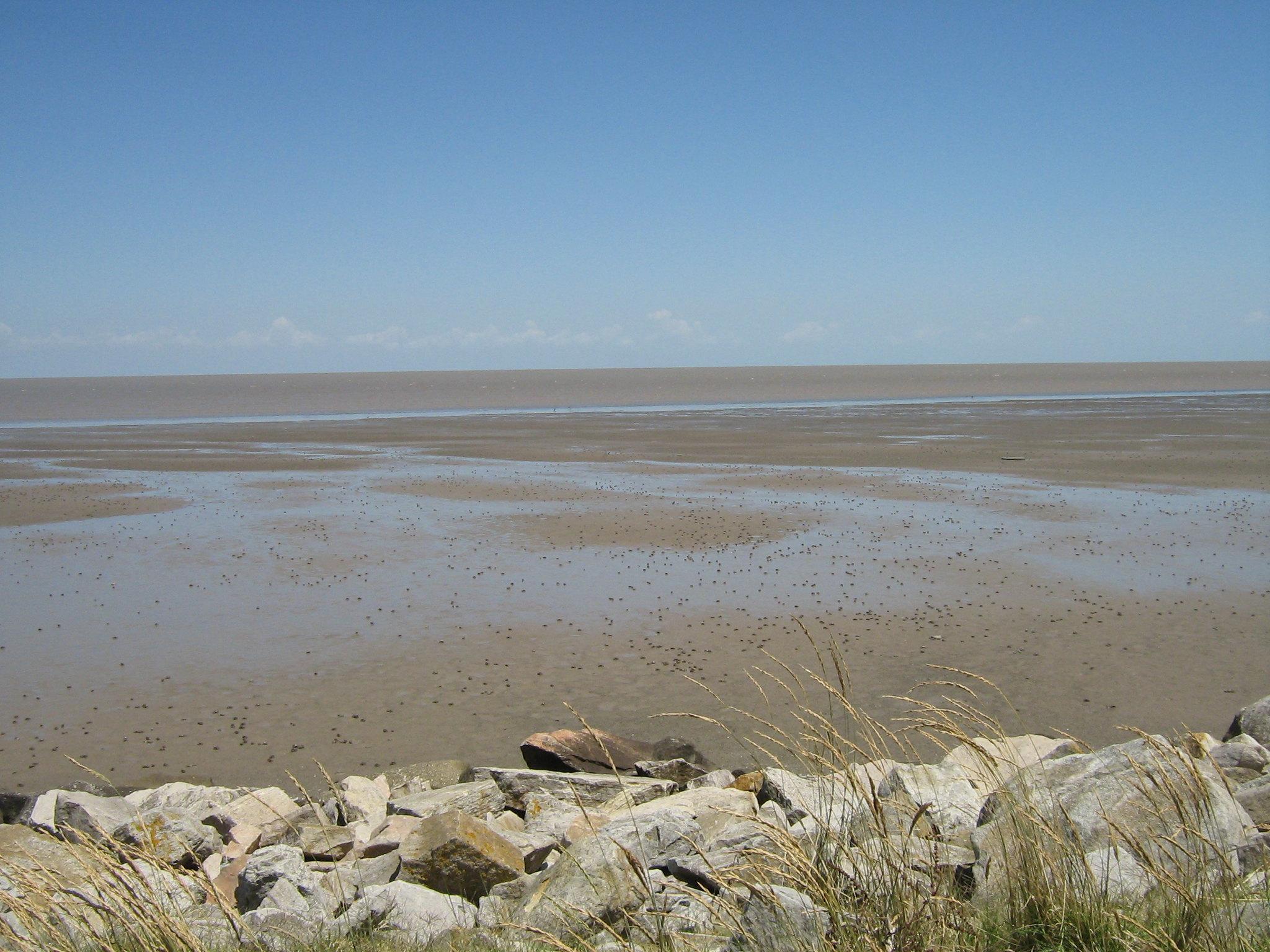 Qu'est ce qu'une baie ? Définition de baie