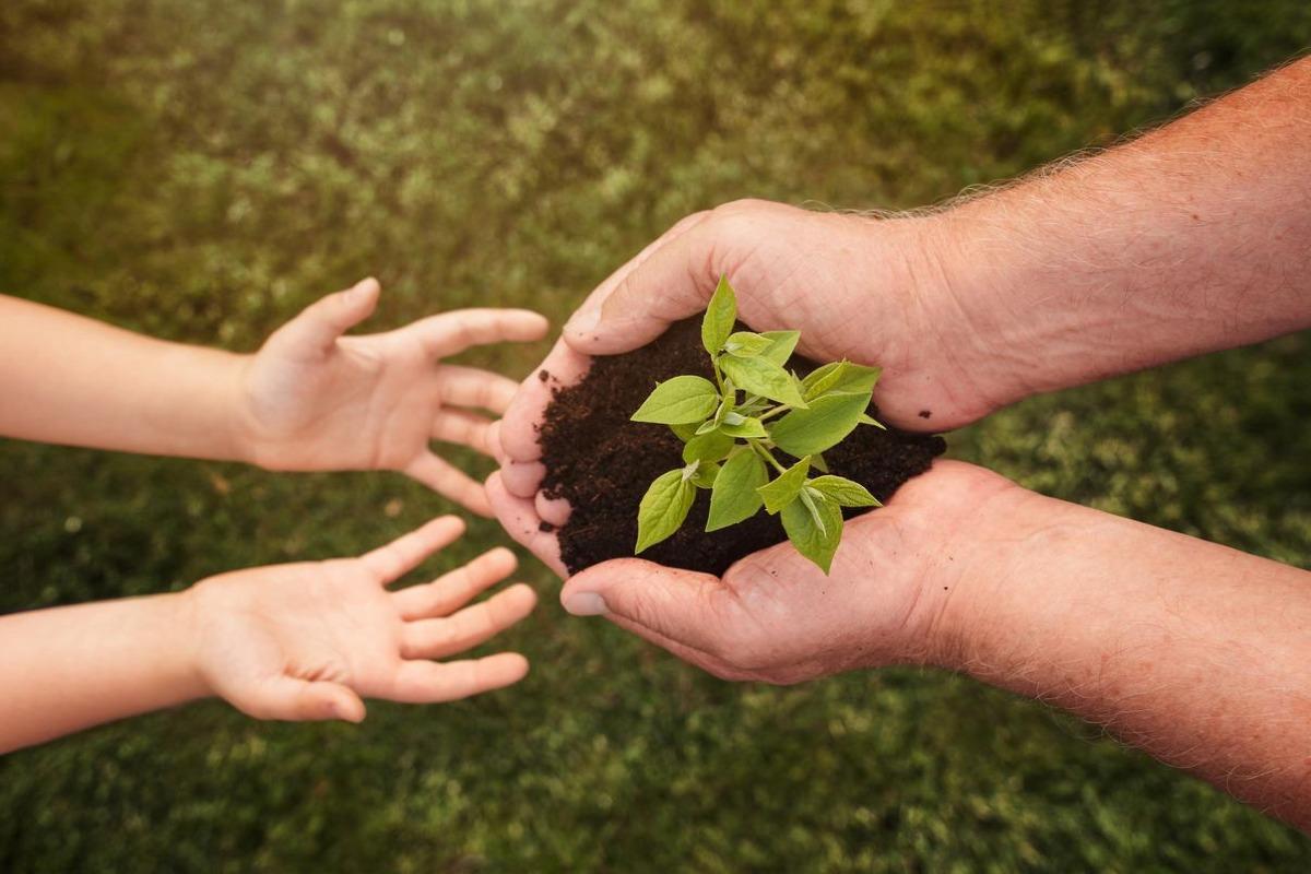 Conscience écologique - Définition et importance