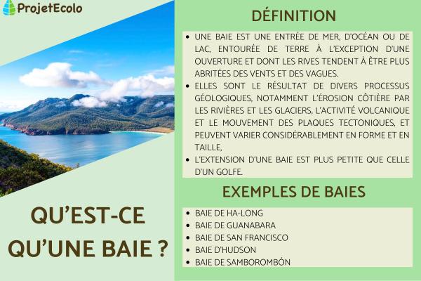 Qu'est-ce qu'une baie ?