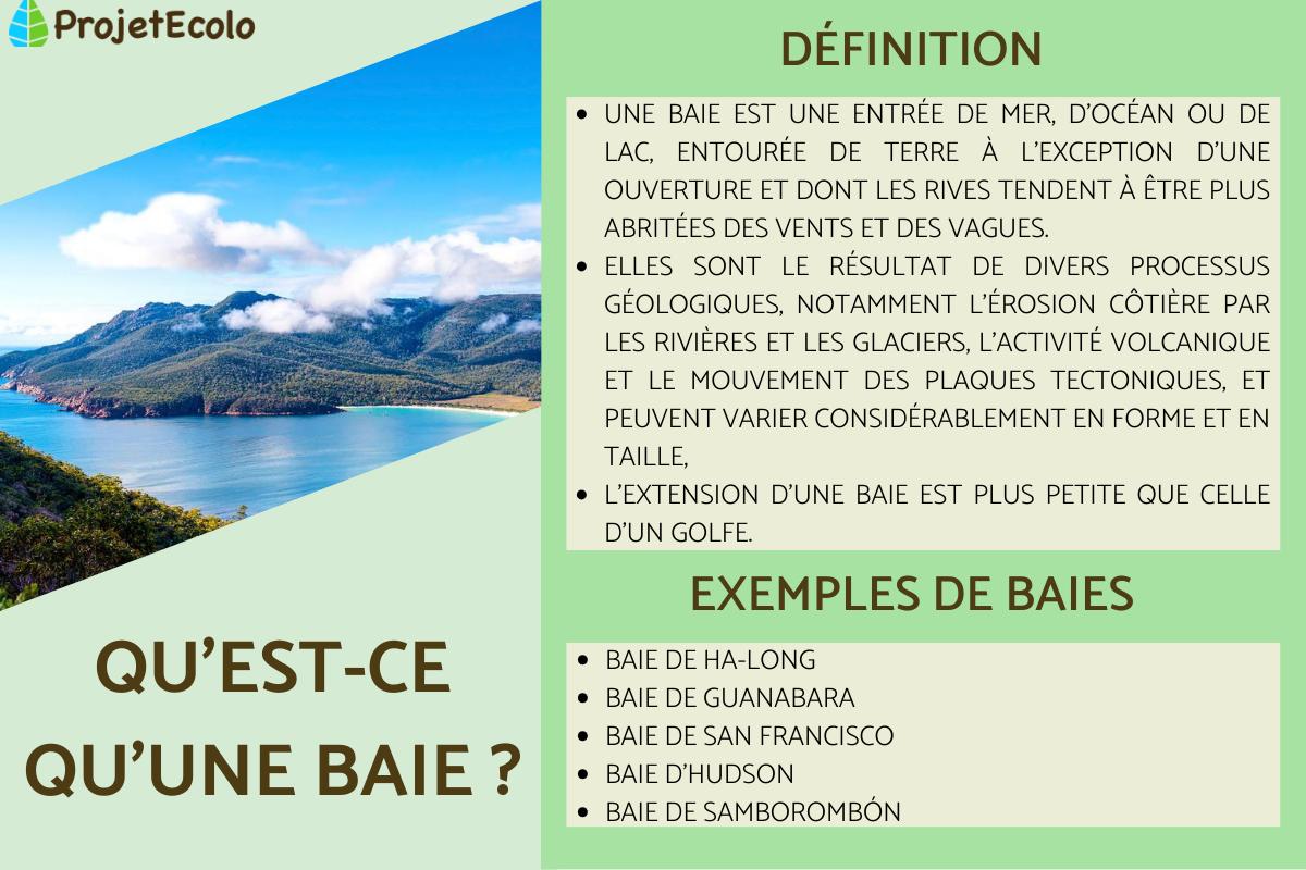 Qu'est ce qu'une baie ? Définition de baie
