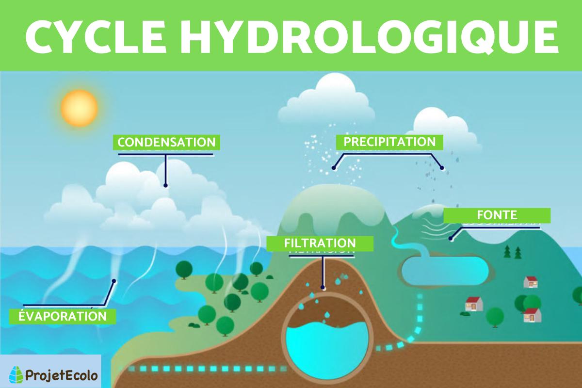 Cycle hydrologique : Définition, étapes et importance