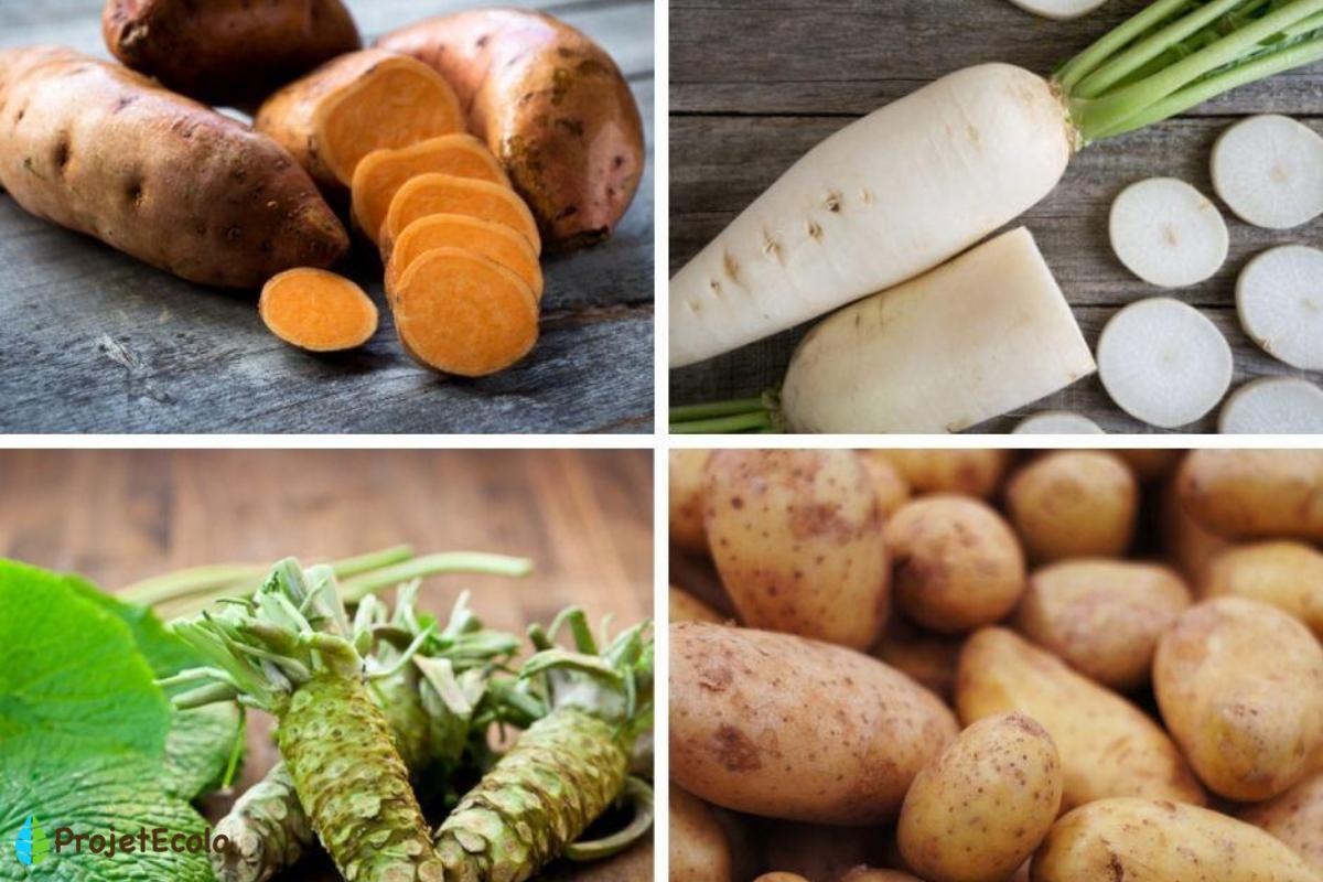 Tubercules : définition et exemples