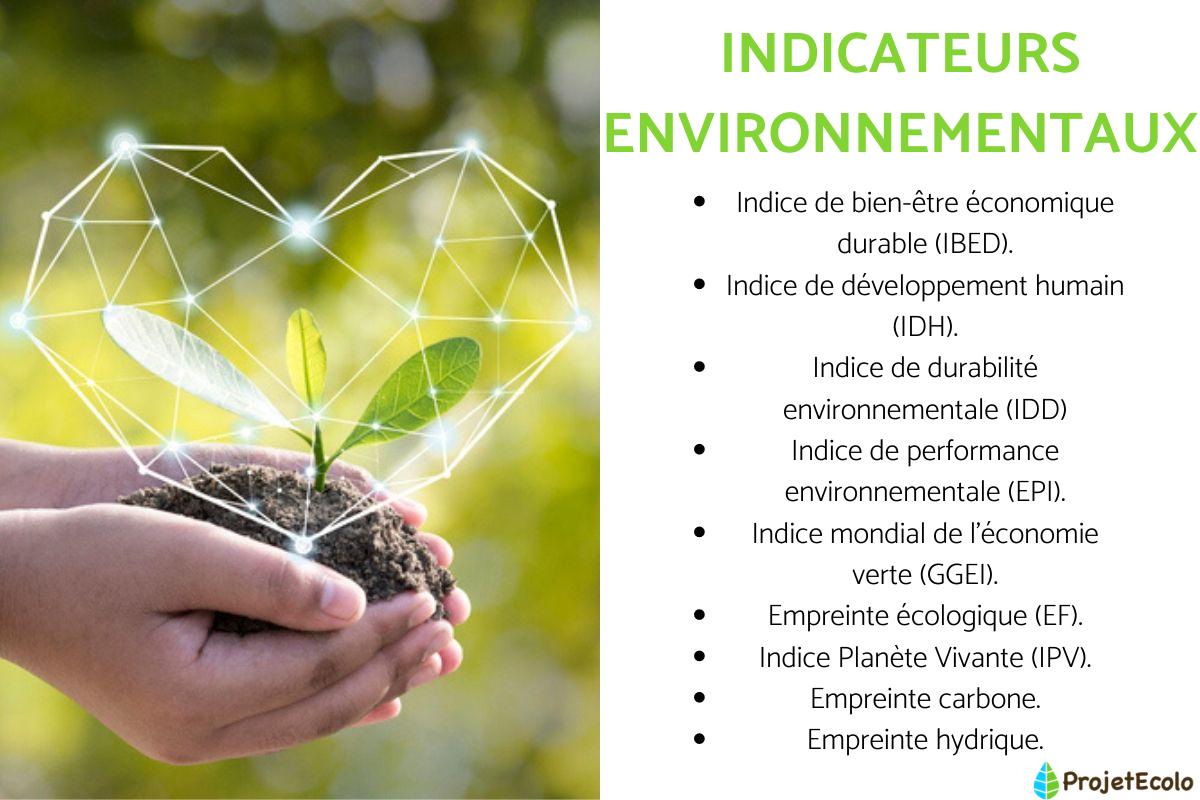 Indicateurs environnementaux : Définition, types et exemples