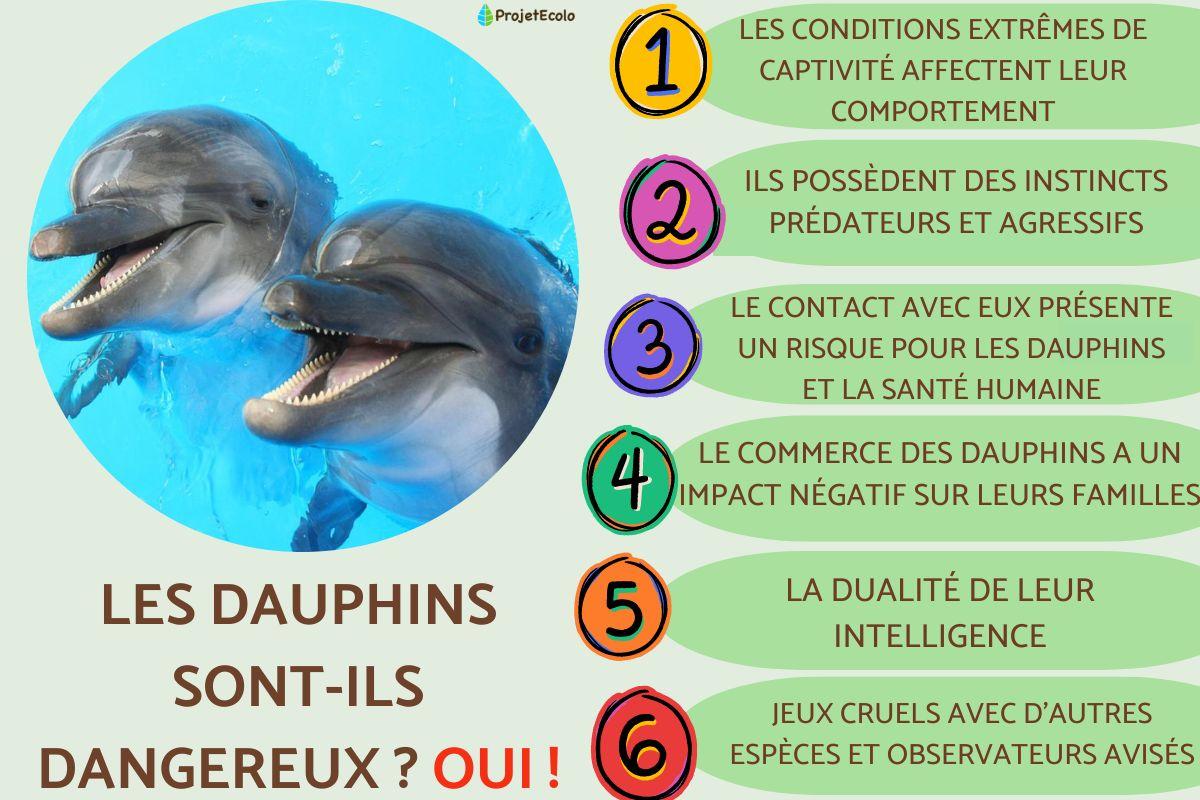 Les dauphins sont-ils dangereux ?