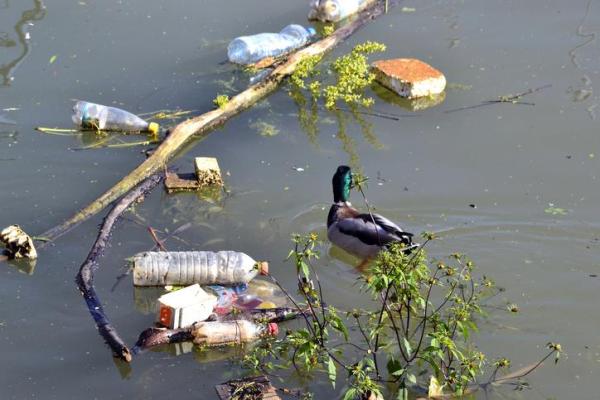 Causes de la pollution de l'eau