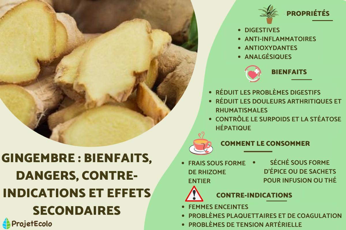 Gingembre : bienfaits, dangers, contre-indications et effets secondaires