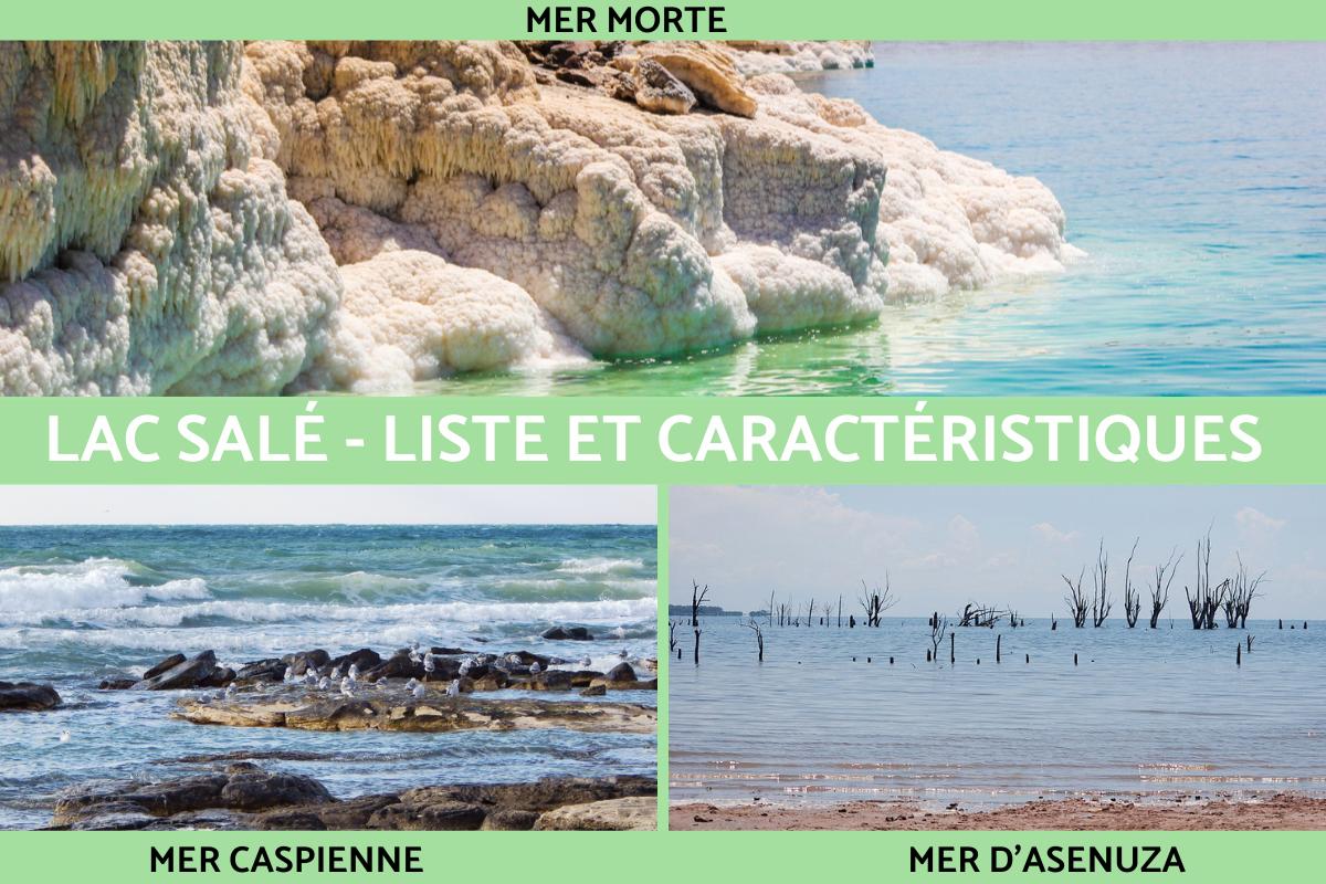 Lac salé : liste et caractéristiques