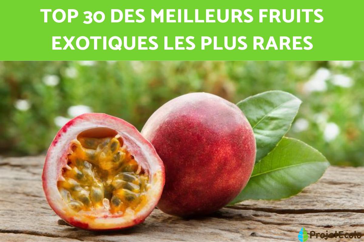 30 fruits exotiques et tropicaux - Photos et noms