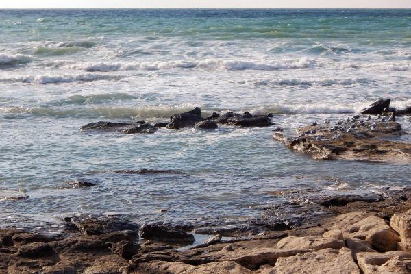 Mer Caspienne : lac ou mer ? - Mer ou lac : conflit d'intérêts 