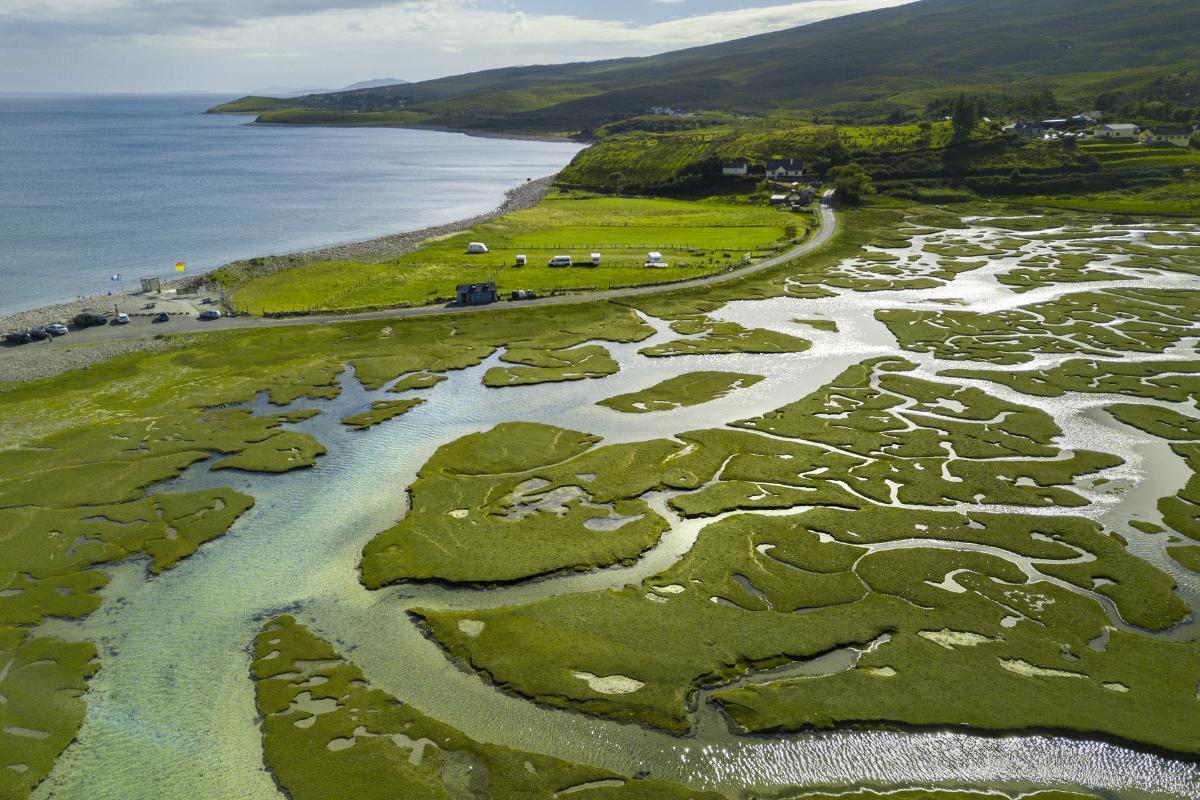 Delta d'un fleuve définition, formation et types