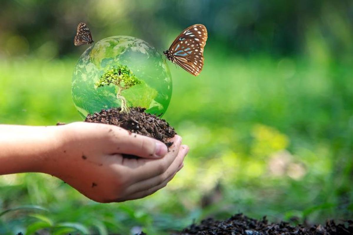 Préservation de la biodiversité - Définition, pratiques et importance