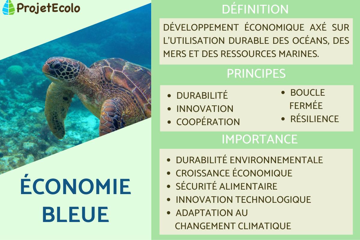 Économie bleue : définition et principes
