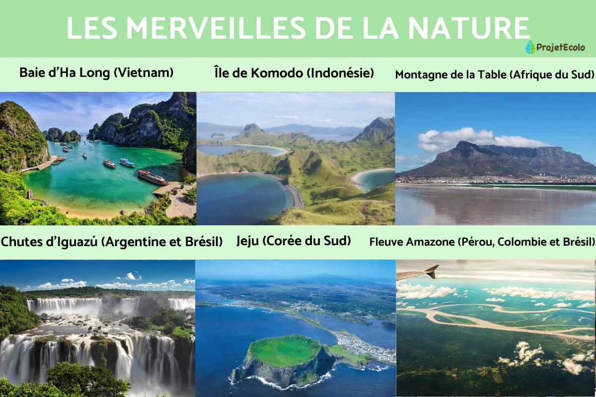 Les merveilles de la nature