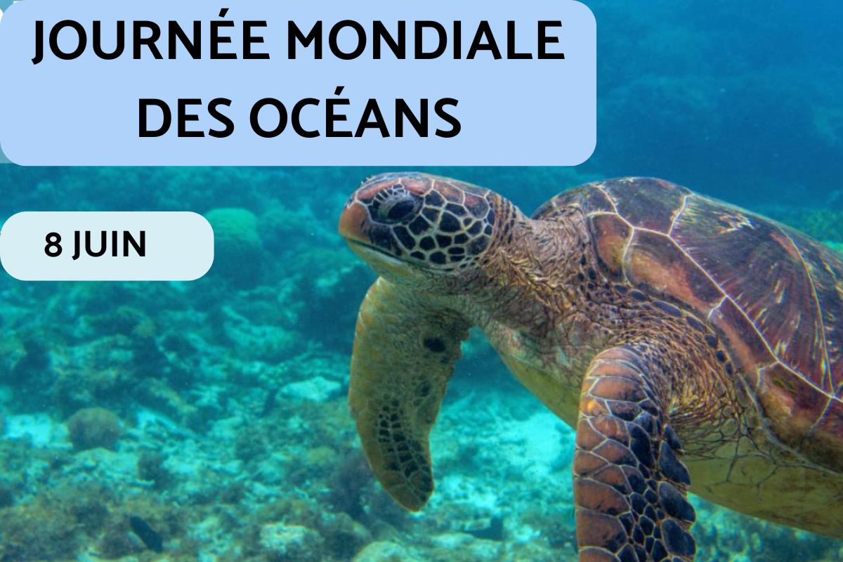 Journée Mondiale des Océans : date et célébration