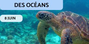 Journée Mondiale des Océans : date et célébration