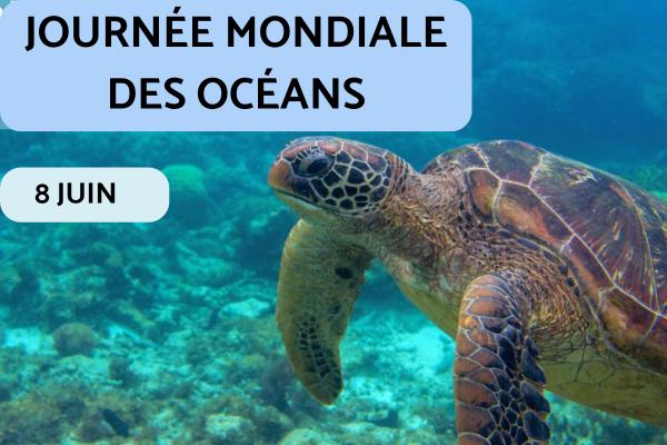 Journée Mondiale des Océans : date et célébration