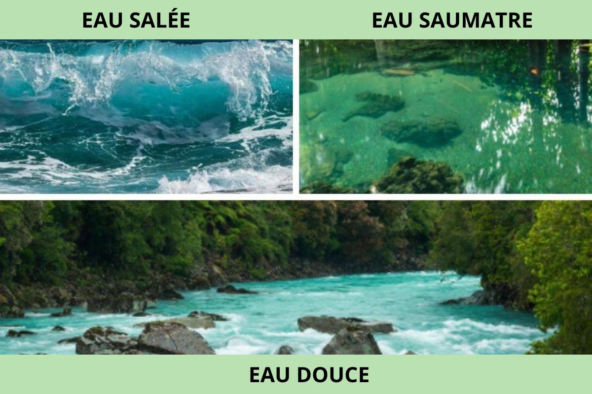 17 TYPES D EAU Classification Noms Caract ristiques Et PHOTOS