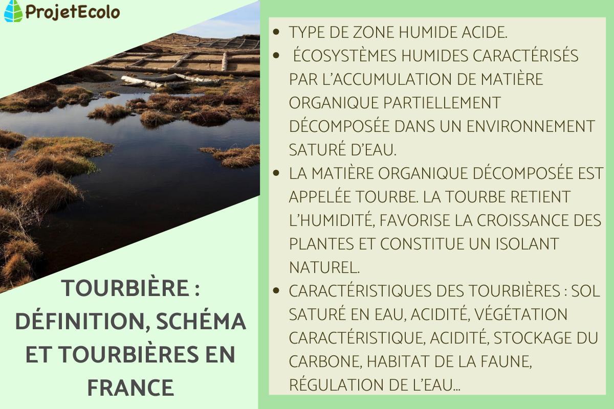 Tourbière : définition, schéma et tourbières en France