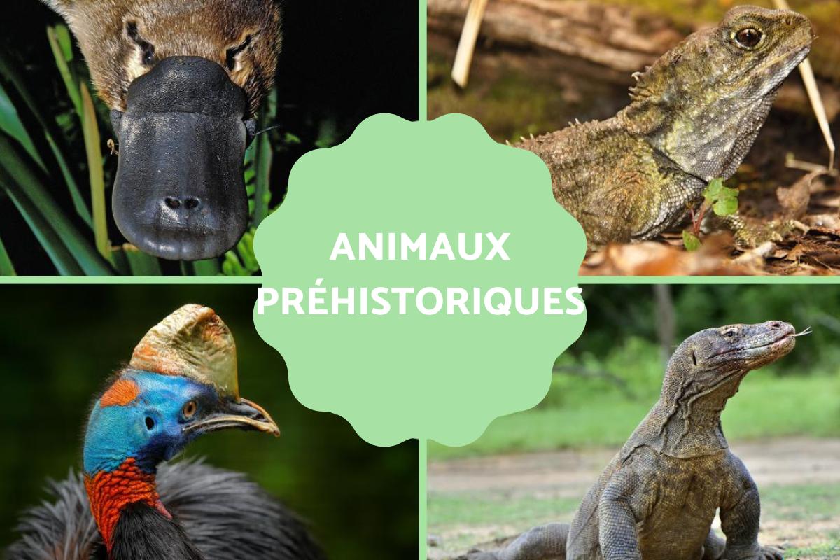 Animaux préhistoriques : encore en vie et disparus