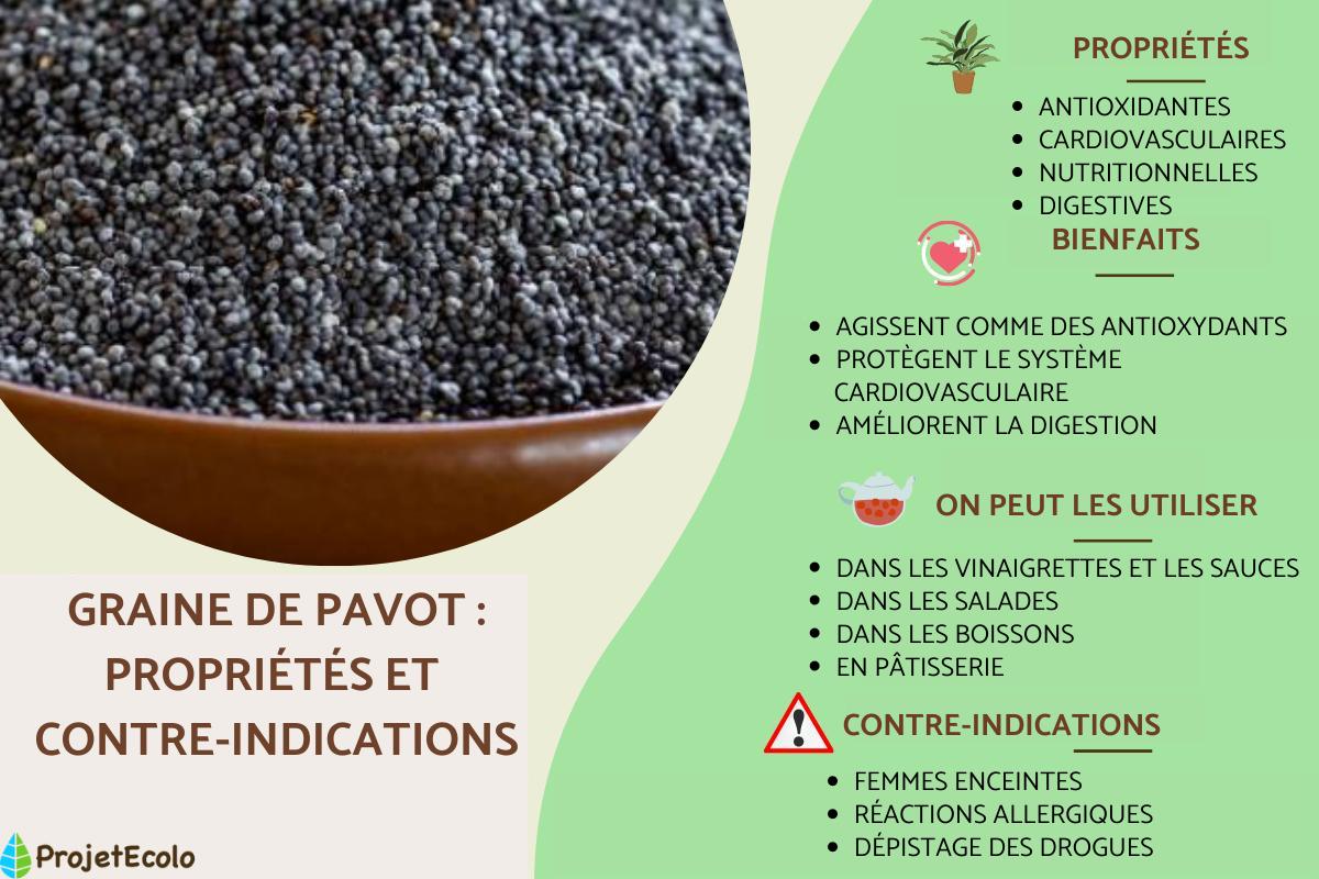 Graine de pavot : propriétés et contre-indications