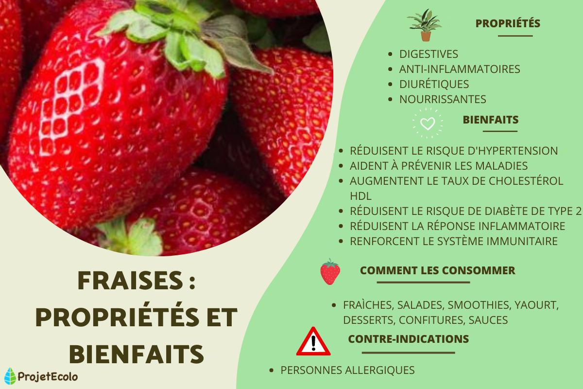 Fraises : propriétés et bienfaits