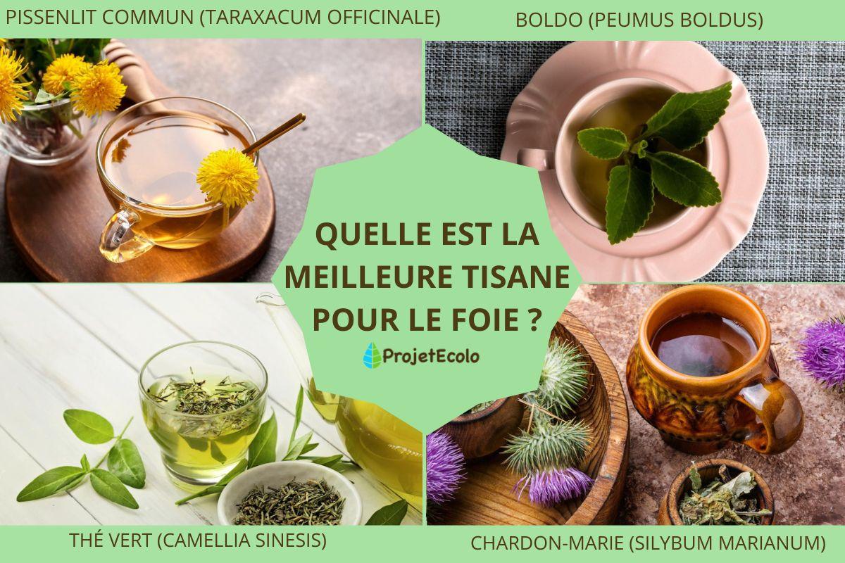 Quelle est la meilleure tisane pour le foie ?