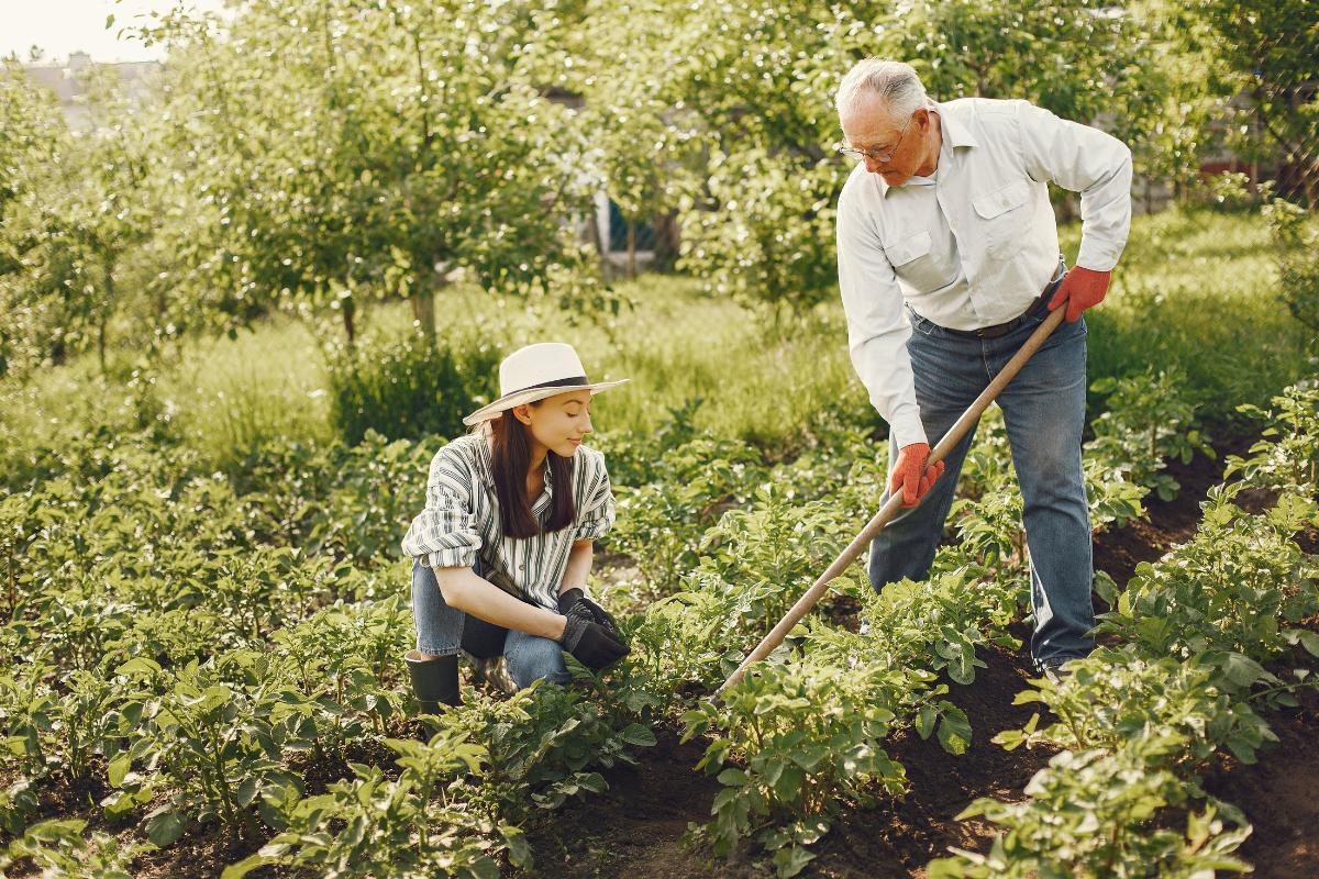 Agrotourisme : définition, caractéristiques et activités