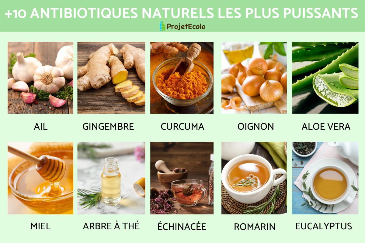 Antibiotiques naturels les plus puissants