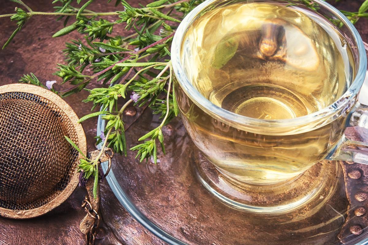 Les 14 ANTIBIOTIQUES NATURELS les plus PUISSANTS — free download
