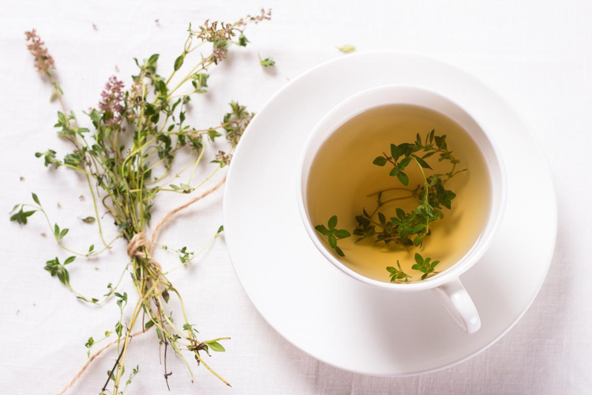 Les 14 ANTIBIOTIQUES NATURELS les plus PUISSANTS — free download