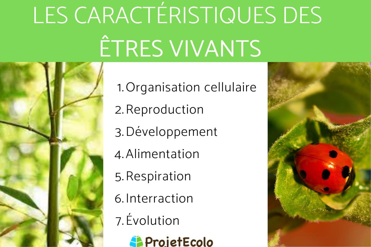 Caractéristiques des êtres vivants