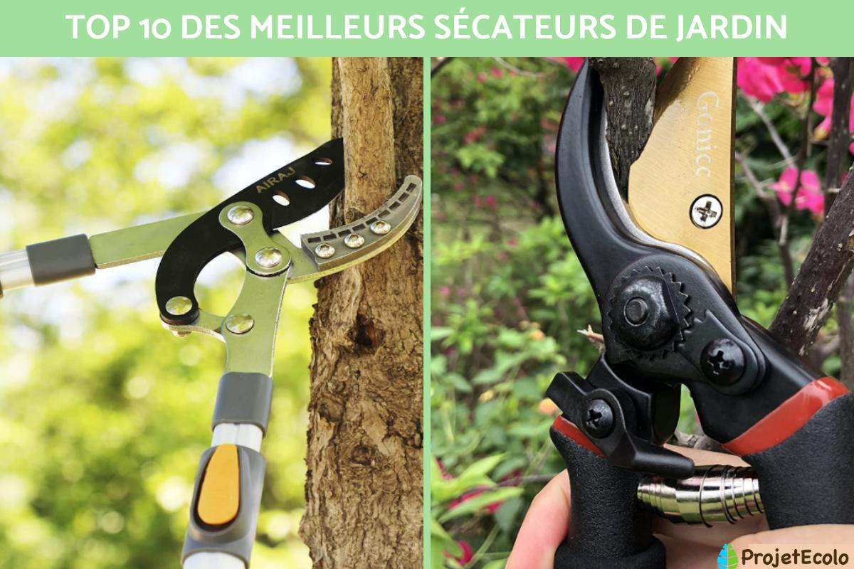 Les 10 meilleurs sécateurs de jardin