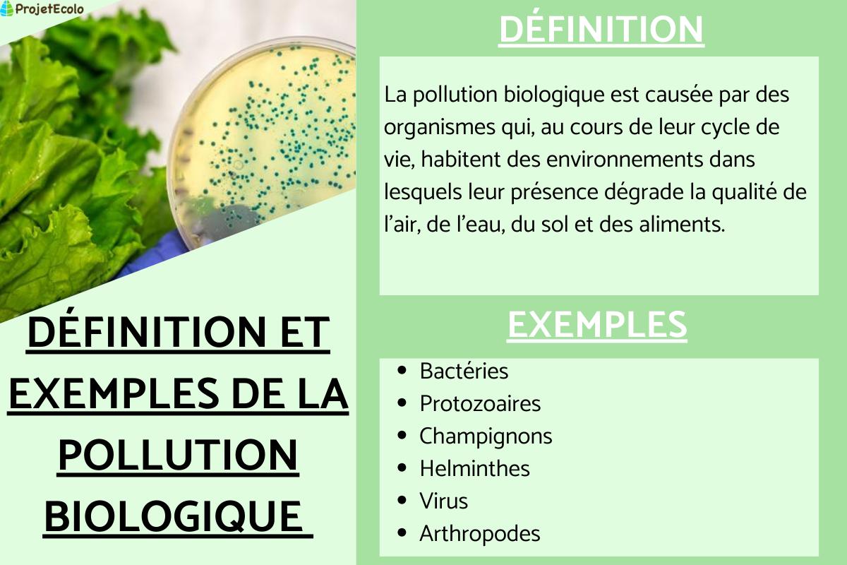 Pollution biologique : définition, types et exemples