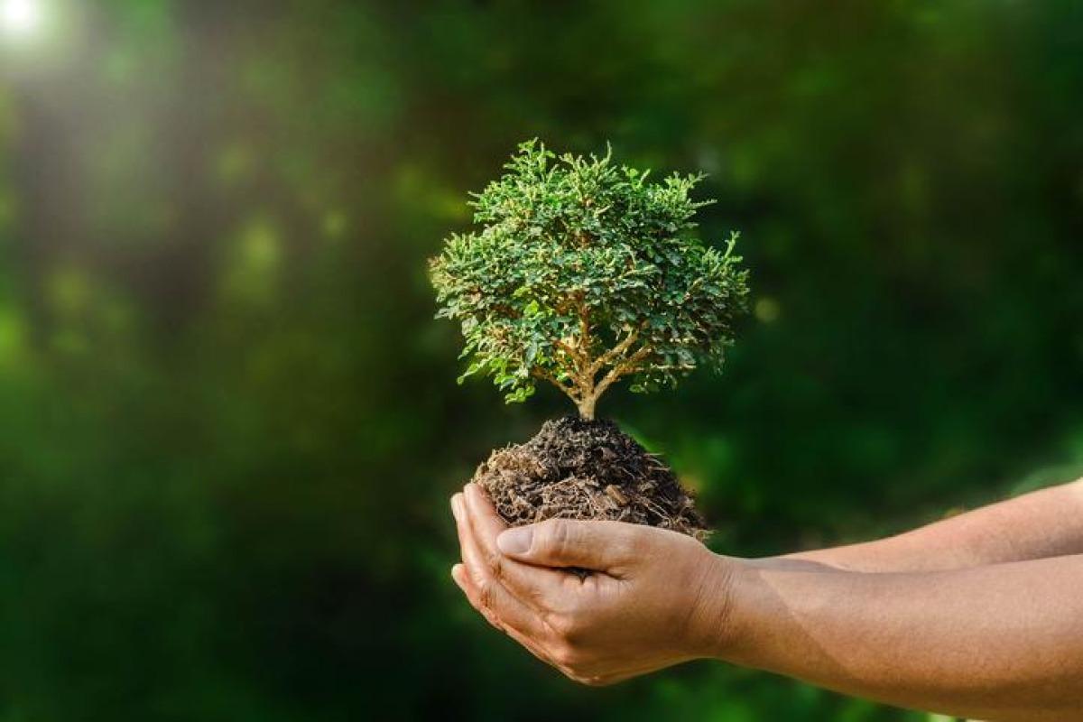 Branches de l'écologie et objets d'étude