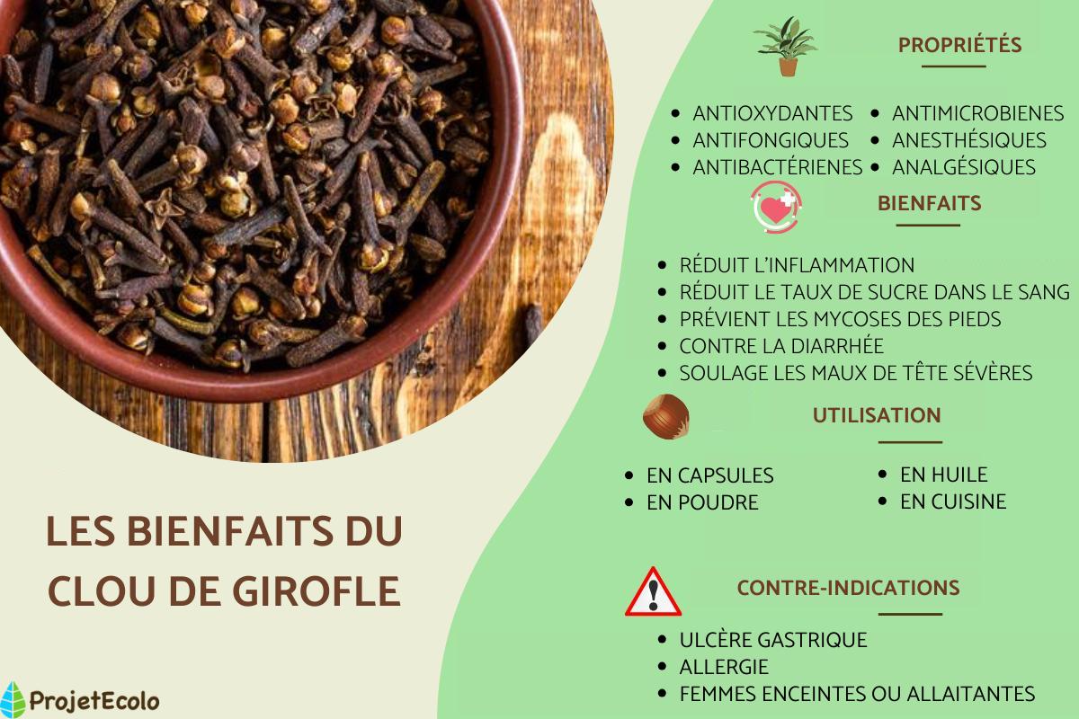 Clou de girofle : propriétés, utilisation et contre-indications