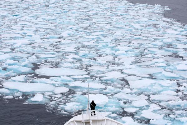 Calotte polaire : définition, formation et différence avec calotte glaciaire - Calottes polaires et changement climatique