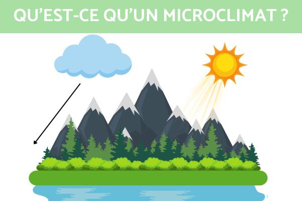 Microclimat : définition, formation et exemples