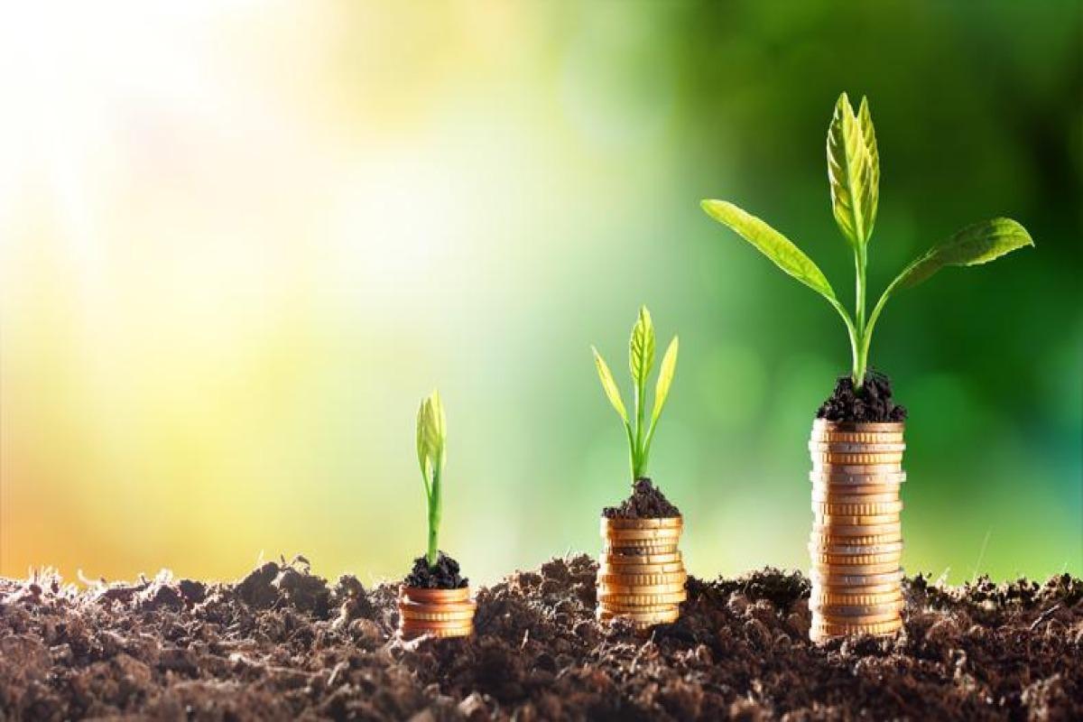 Santé environnementale : définition et exemples