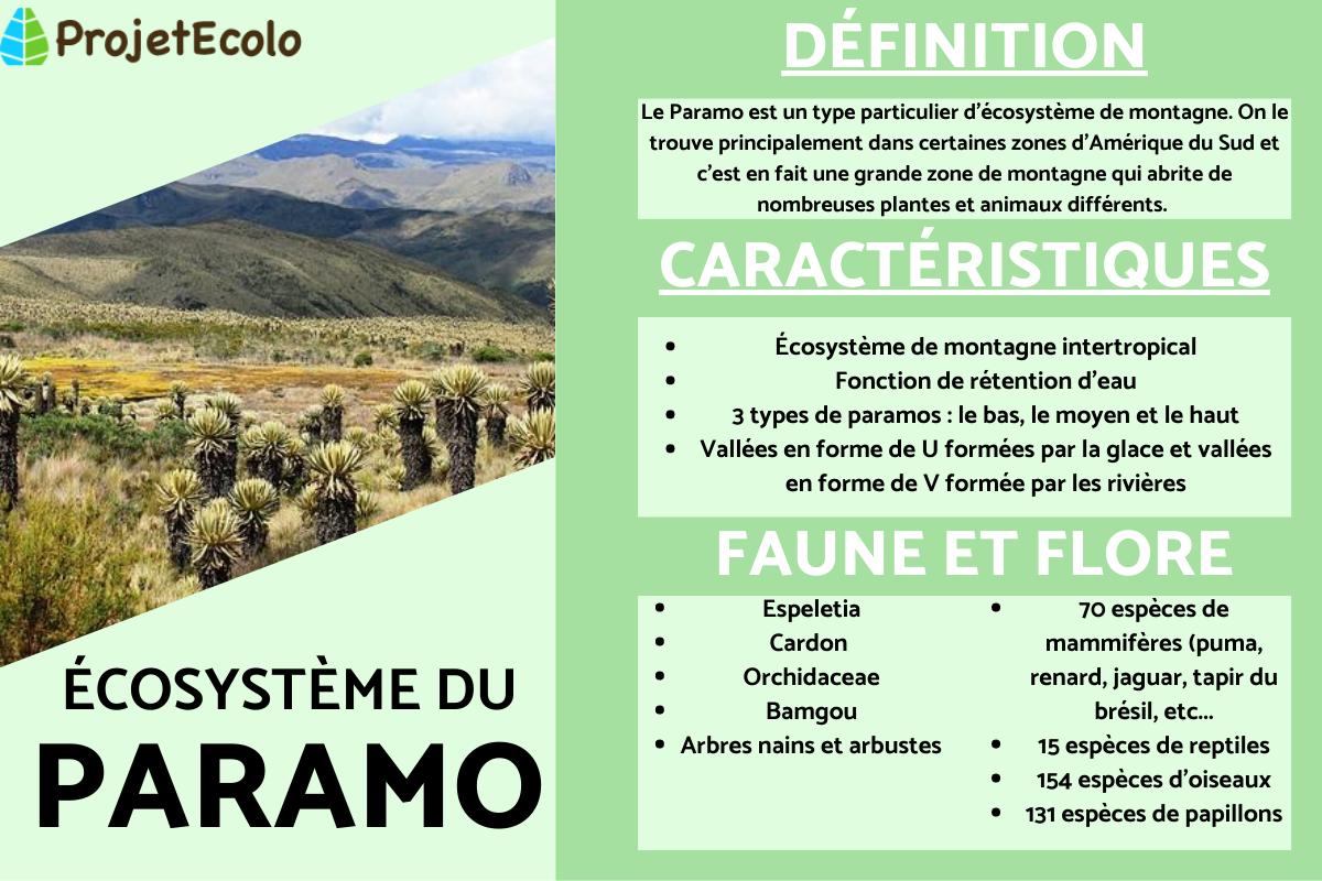 Paramo : Définition, caractéristiques, flore et faune