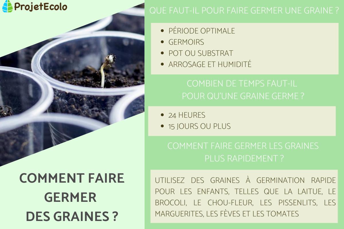 Comment faire germer des graines