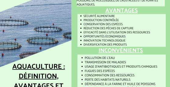Aquaculture : Définition, avantages et inconvénients