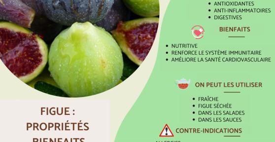 Figue : propriétés, bienfaits et contre-indications