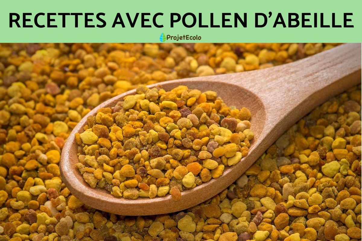 Recettes avec pollen d'abeille