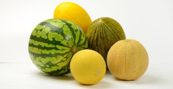 8 types de melons