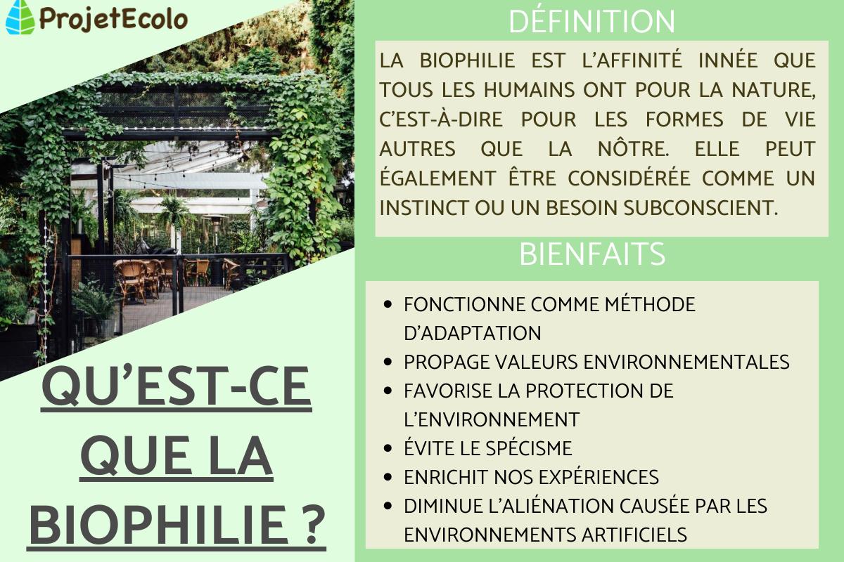 Biophilie : Définition et bienfaits
