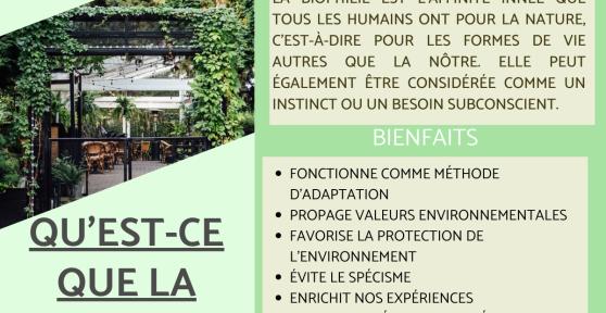 Biophilie : Définition et bienfaits