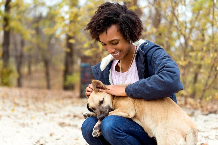 Quels sont les DROITS des ANIMAUX Liste et législation