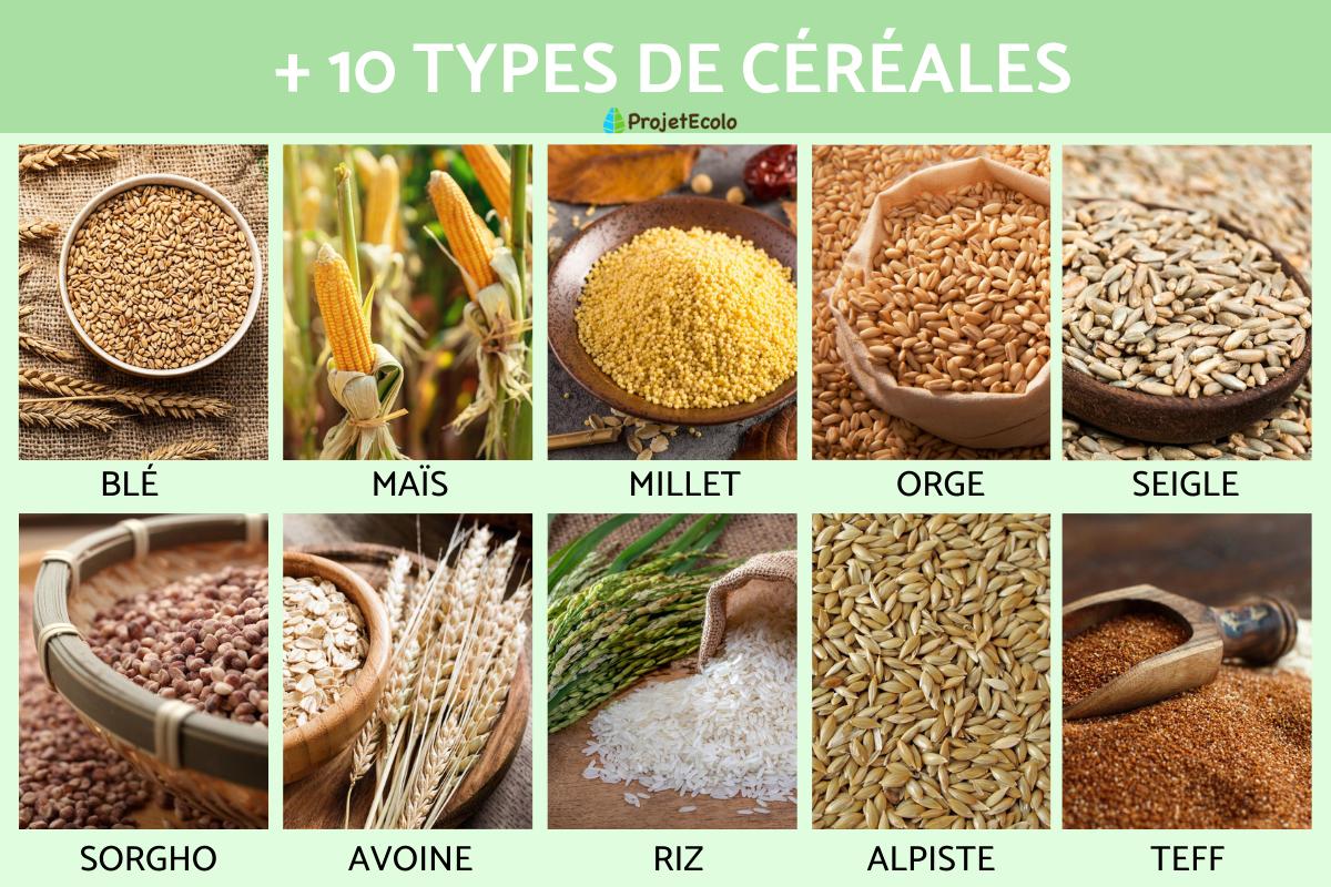 Types de céréales