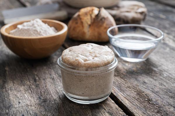 Champignons : qui brillent dans le noir, toxiques et biosphère - La levure est un champignon
